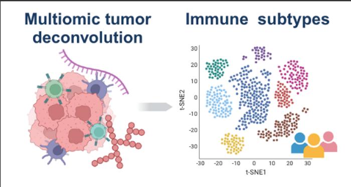 Researchers Characterize the Immune Landscape in Cancer