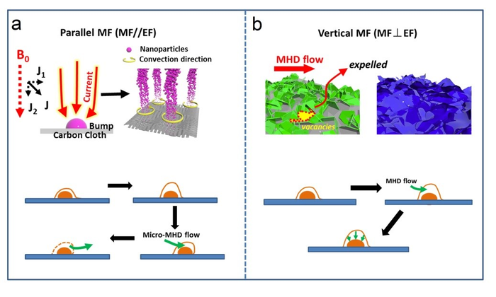 Magneto-electrodeposition Technique Offers New Solution for Supercapacitors