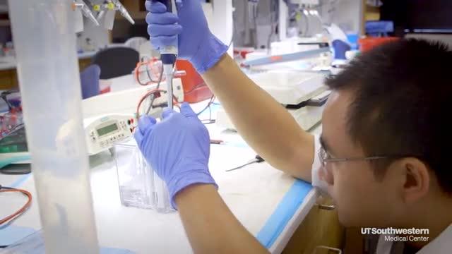 Scientists Unravel DNA Code Behind Rare Neurologic Disease