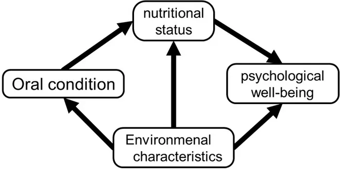 Conceptual representation of the relationship between oral condition, individual and environmental characteristics, nutritional status and psychological well-being