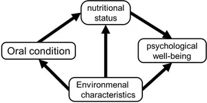 Conceptual representation of the relationship between oral condition, individual and environmental characteristics, nutritional status and psychological well-being