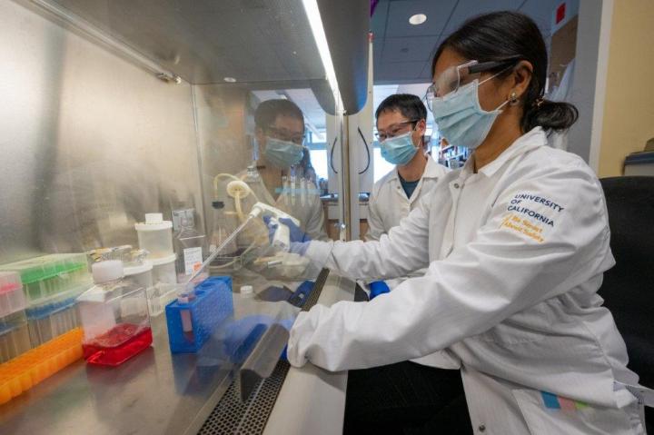 Phung Thai and Padmini Sirish