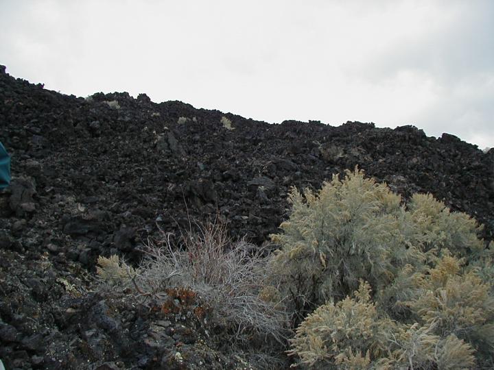 Utah's Black Rock Desert