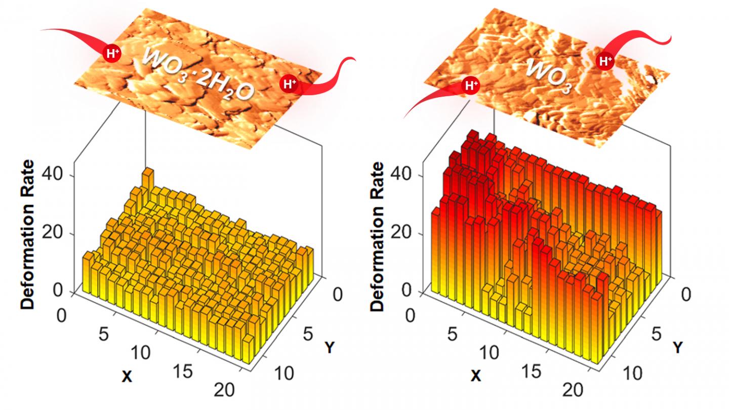 The Unexpected Role of Water in an Energy Storage Material