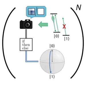 Summary Figure