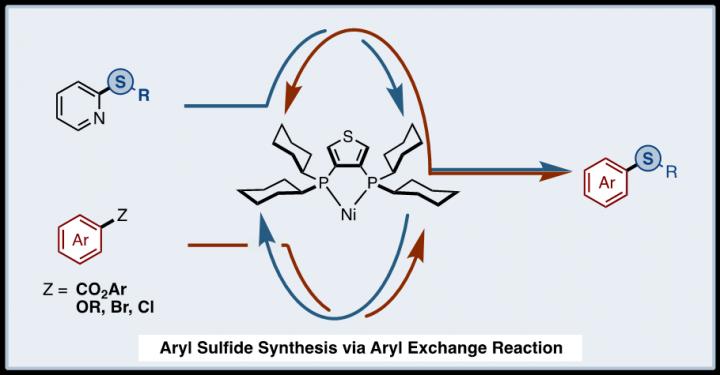 Aryl Sulfide Synthesis via an Aryl Exchange Reaction