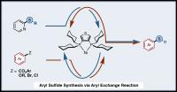 Aryl Sulfide Synthesis via an Aryl Exchange Reaction