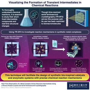 Visualizing the Formation of Transient Intermediates in Chemical Reactions