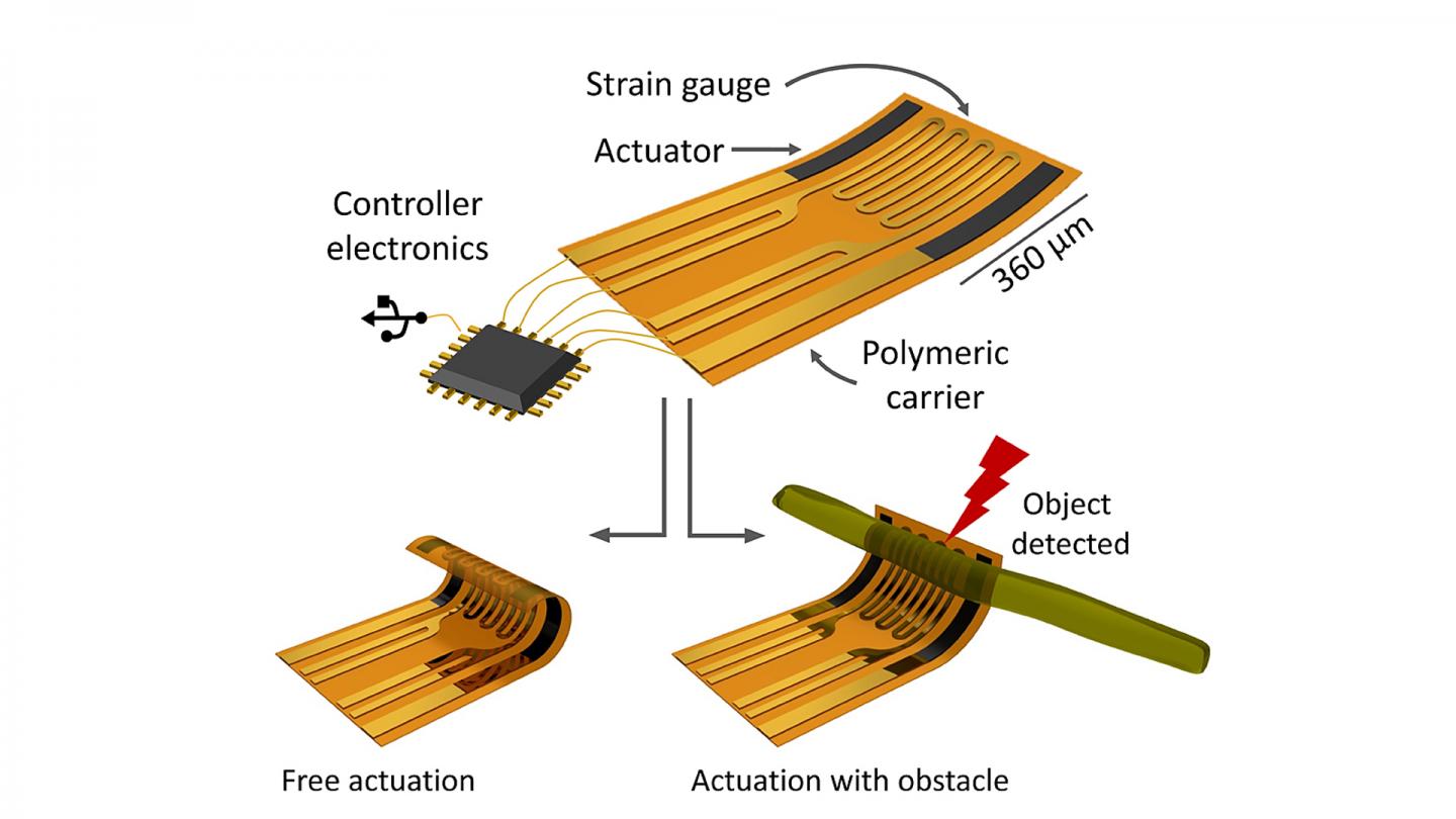 Adaptive Microelectronics Reshape Independently and Detect Environment