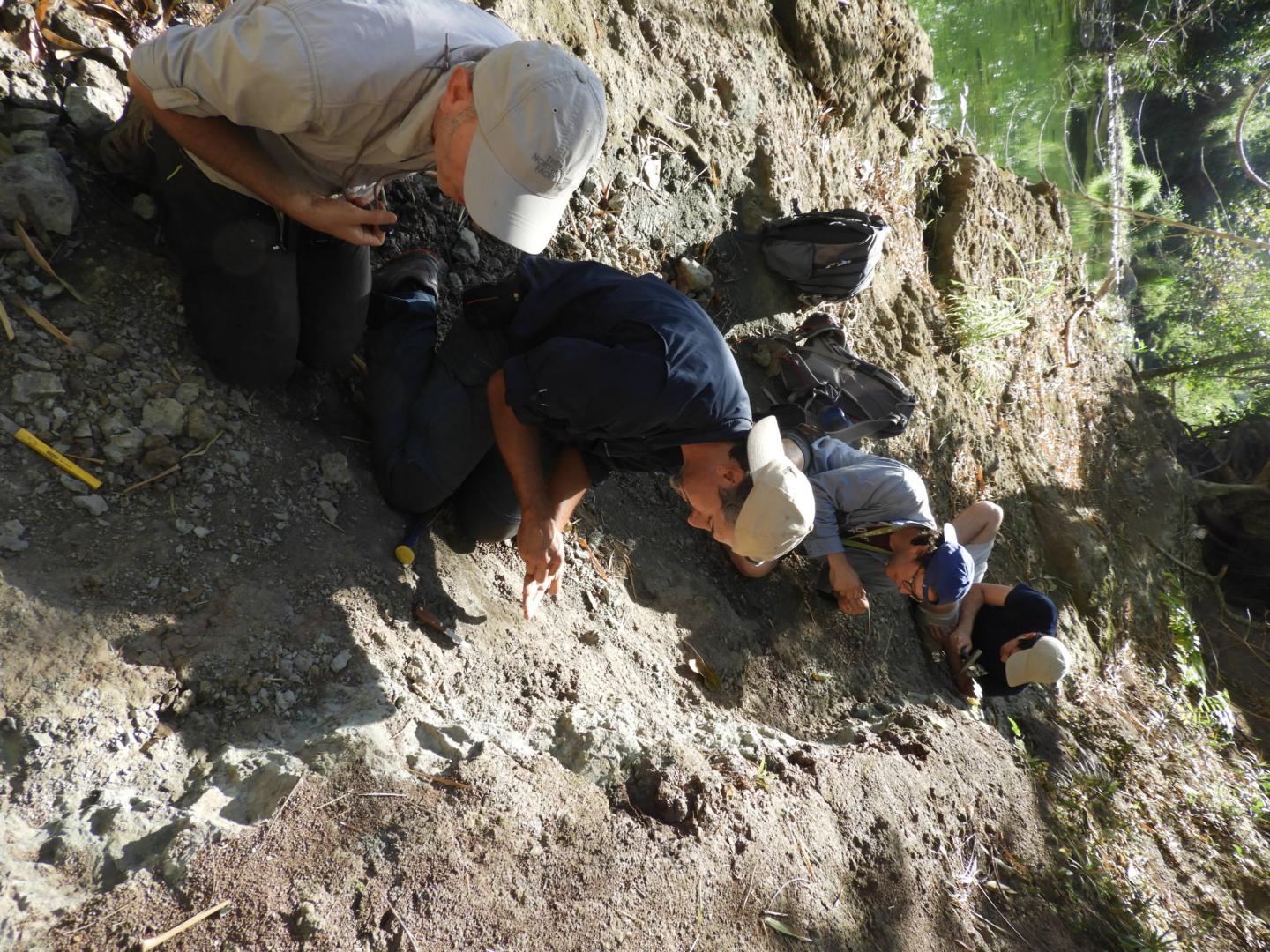 River Outcrop in Puerto Rico Offers Window in Caribbean's Past