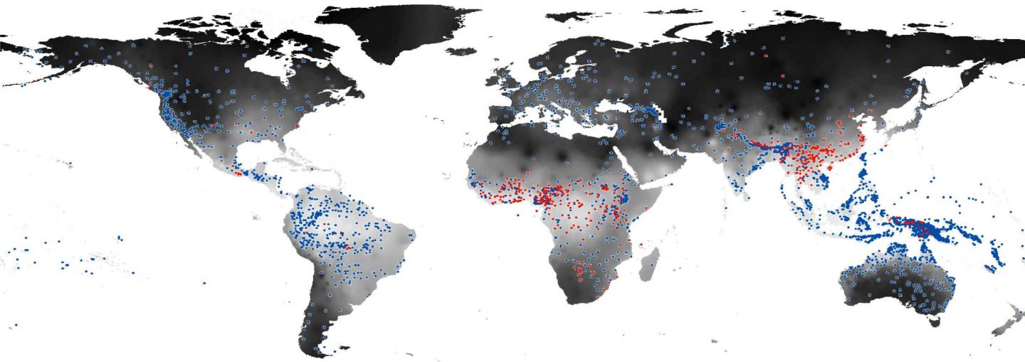 Map of Language Development