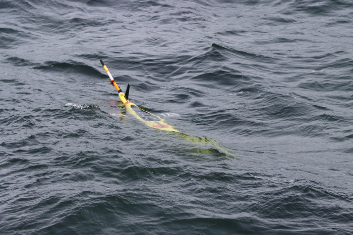 Glider in water