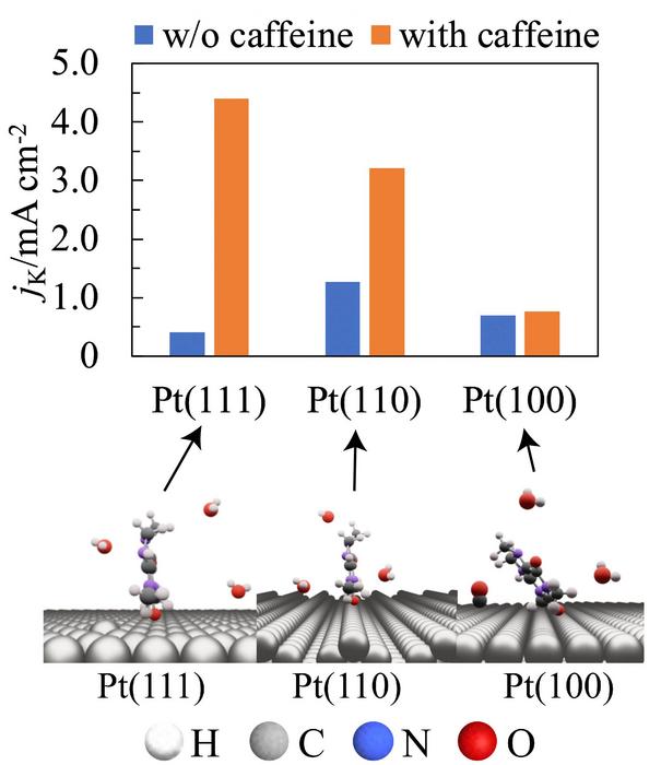 The effect of caffeine on the oxygen reduction reaction activity of platinum (Pt) electrodes