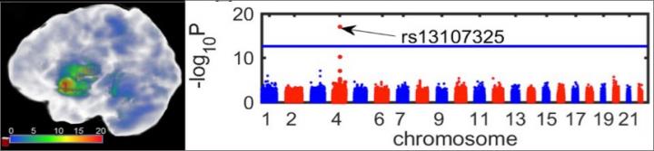 One Graph of Results from Prof Feng Jianfeng's Study