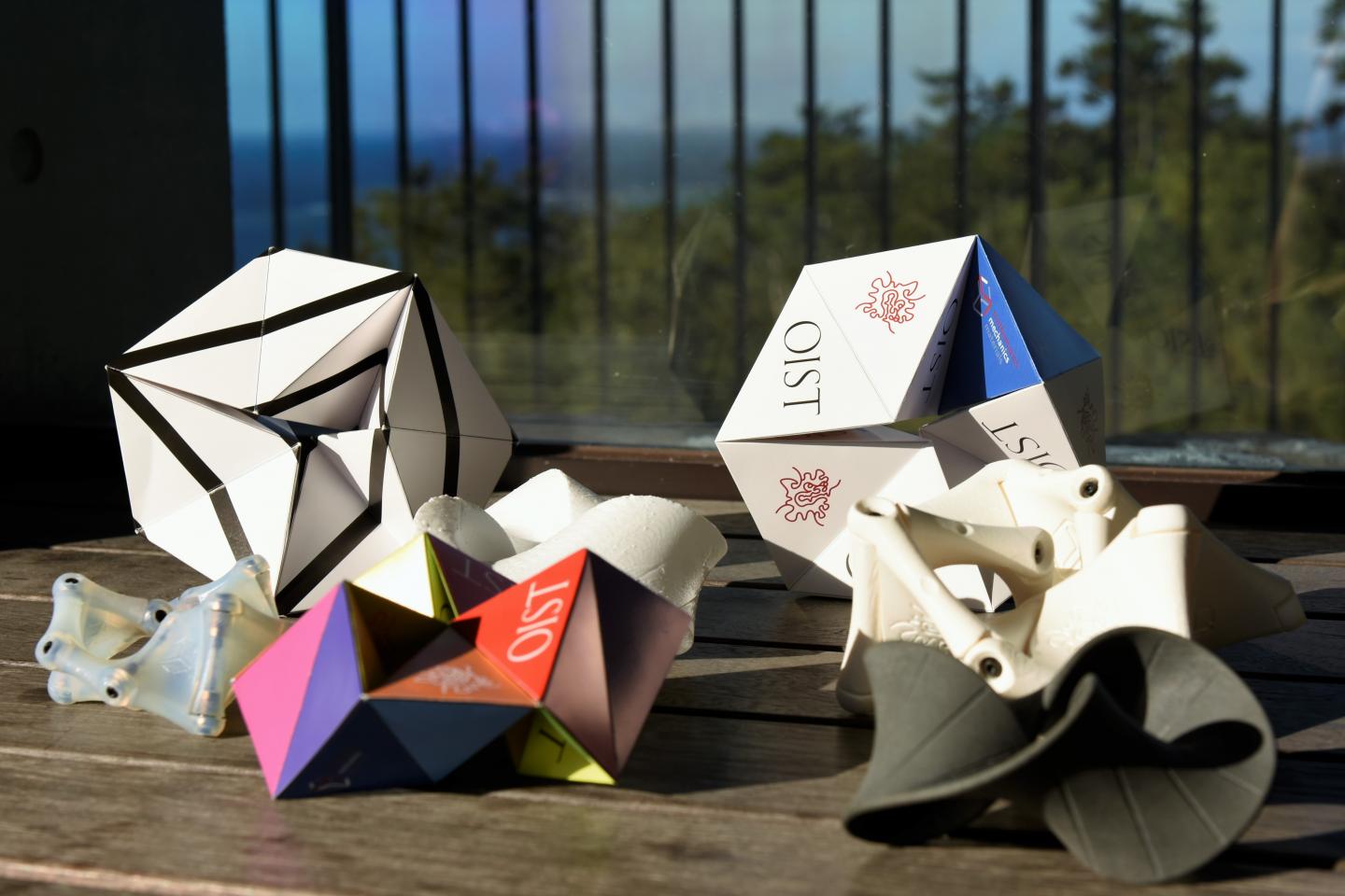 Eye-catching Collection of M&ouml;bius Kaleidocycles