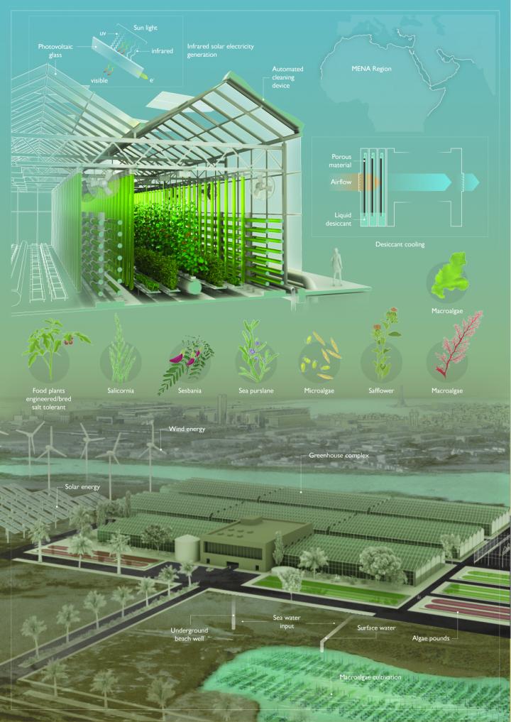 Greenhouses of the future