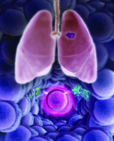 EGFR Mutant Non-small Cell Lung Cancer