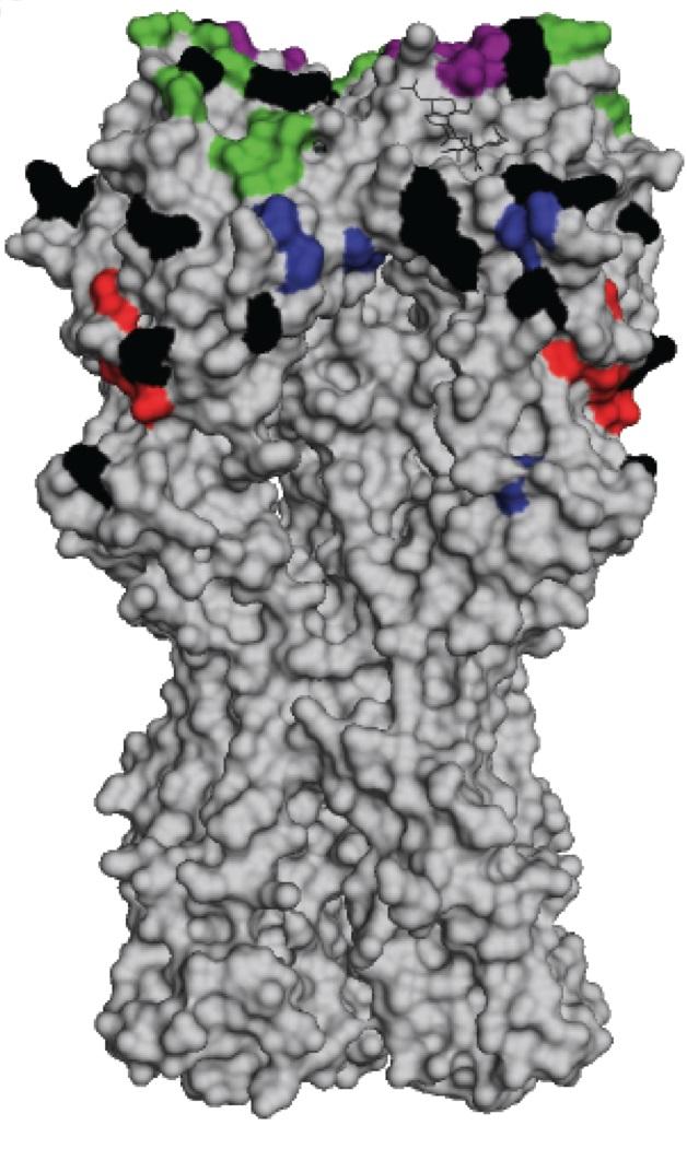New Flu Strains and Old Antibodies: How Sinful is 'Original Antigenic Sin'?