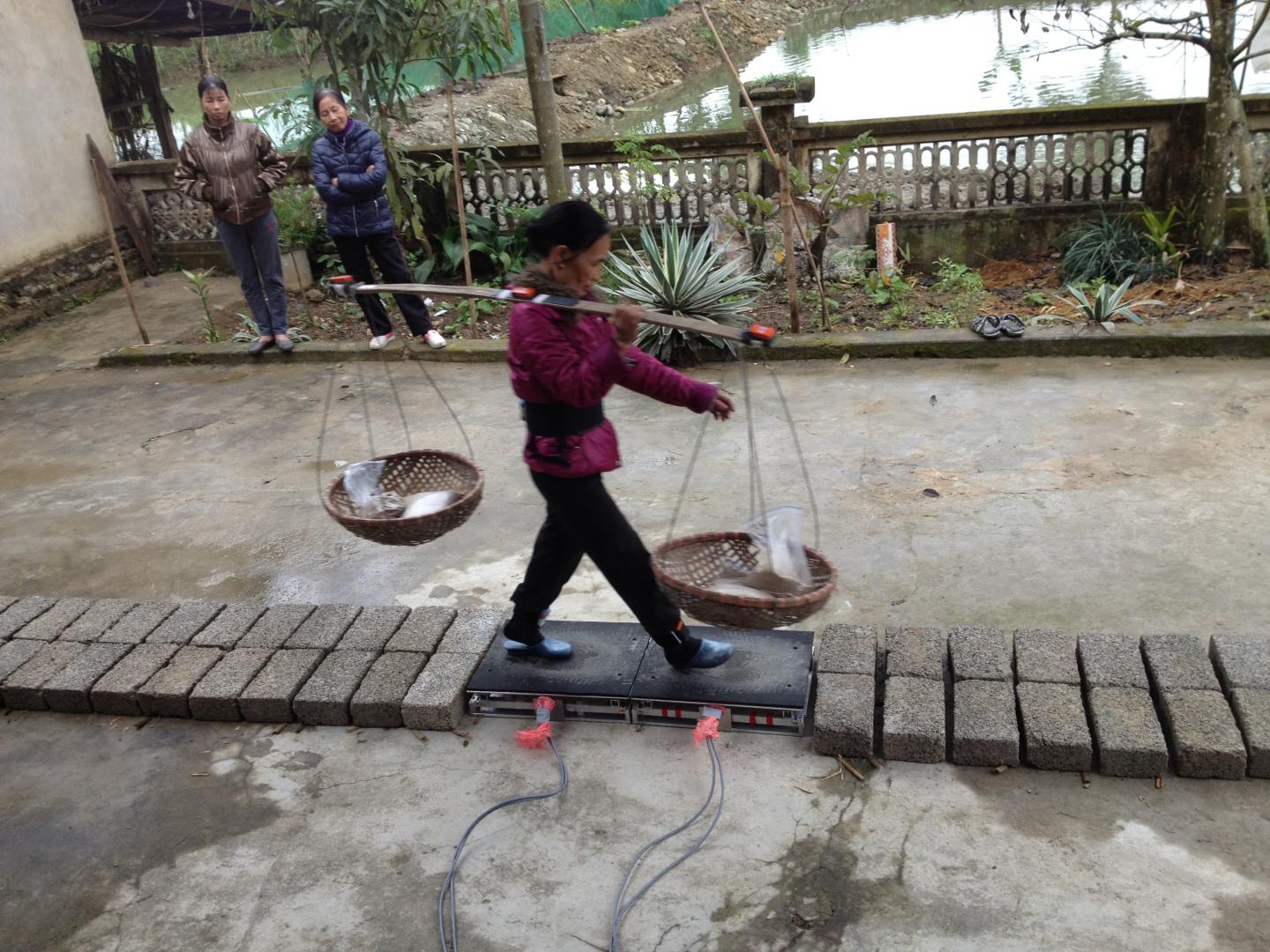 A Woman Carrying a Heavy Load on a Flexible Bamboo Pole