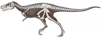 Tyrannosaurus Redux (1 of 4) | EurekAlert!