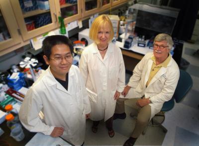 Drs. Wenbo Zhang, Ruth Caldwell and R. William Caldwell, Medical College of Georgia