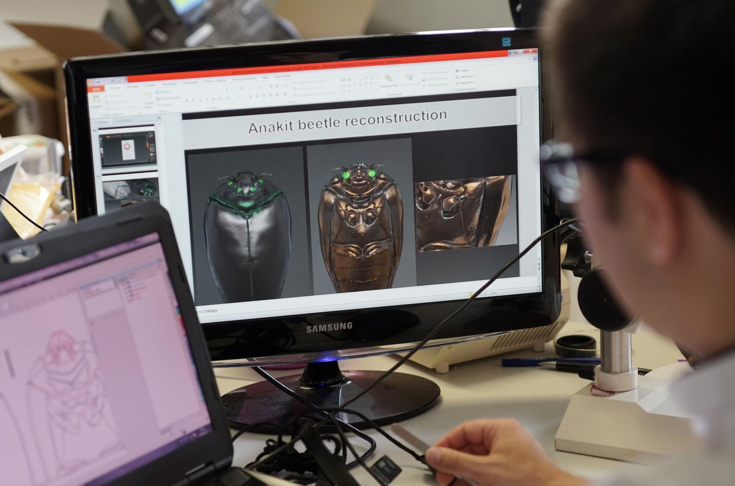 Insect Palaeontologist Dr Evgeny V. Yan, Friedrich-Schiller-Universitaet Jena 