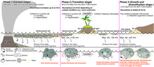 Evolution of pumice and pumice rafts after eruption.