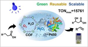 Photoenzymatic synthesis of 1-alkenes and hydroxyl fatty acids