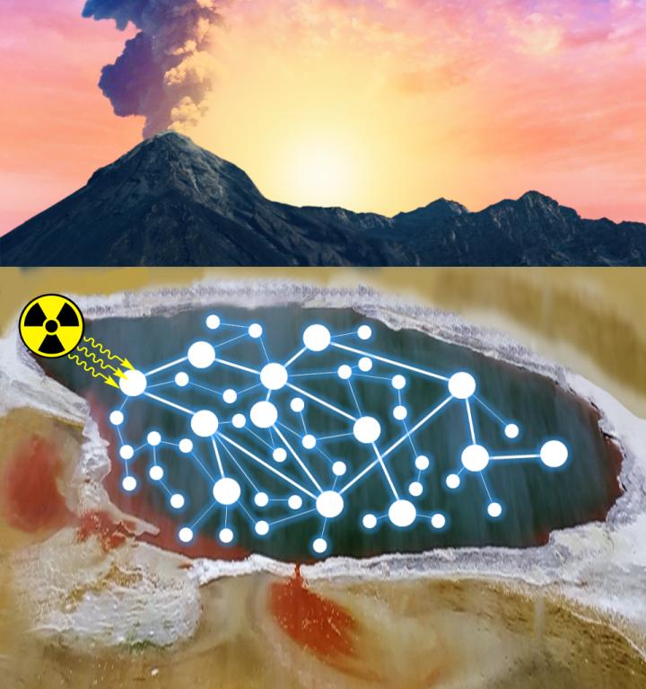 Target Molecules