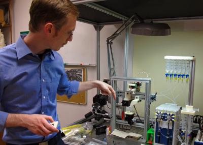 X-Ray Diffraction Measures Lattice of Filaments