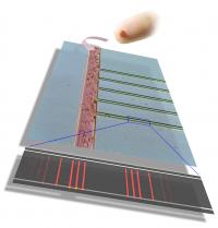 Integrated Blood-Barcode Chip