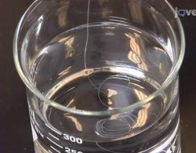 Synthetic Spider Silk in Isopropanol