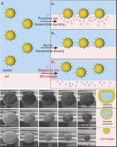 Novel Surface-enhanced Raman Spectroscopy Method Realizes the Quantitative Detection of Anticancer Drugs in Serum