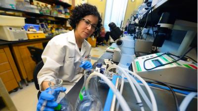 Dr. Adviye Ergul, Medical College of Georgia at Georgia Regents University