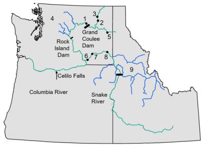 Map of Ancient and Contemporary Salmon Sites
