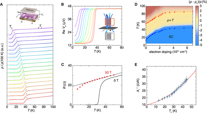 The quantitative relationship between T-linear resistivity and superconductivity of FeSe revealed by ionic-liquid gating.