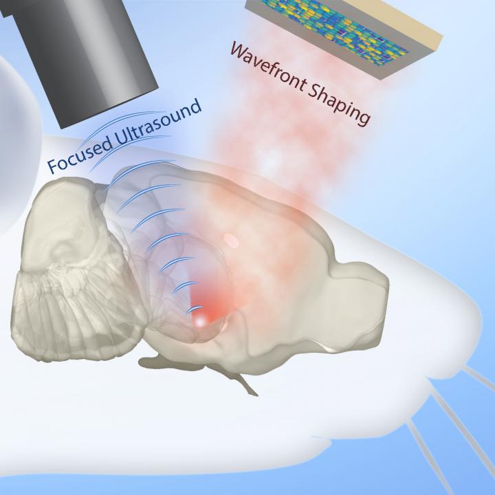 Deep tissue optical focusing and optogenetic modulation with time-reversed ultrasonically encoded light (1 of 1)