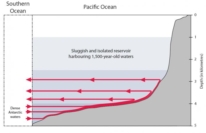 Illustration of Water Currents