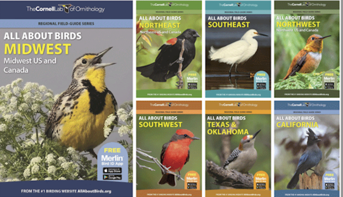 Regional Bird Guides