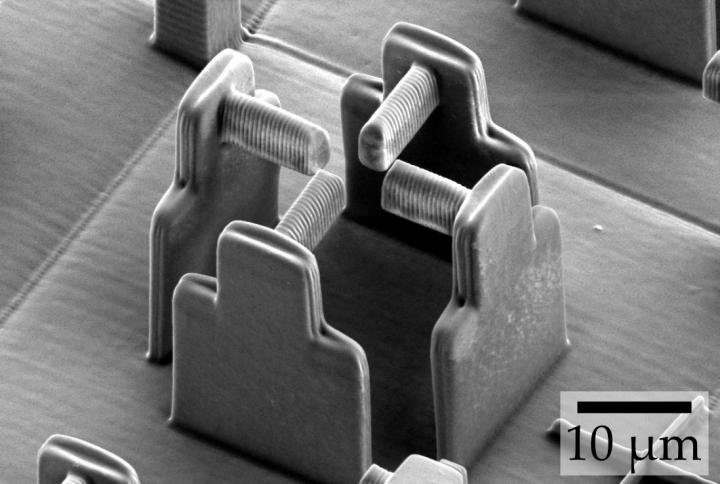 Electron Micrograph of the Empty Scaffold Used to Deform Individual Cells