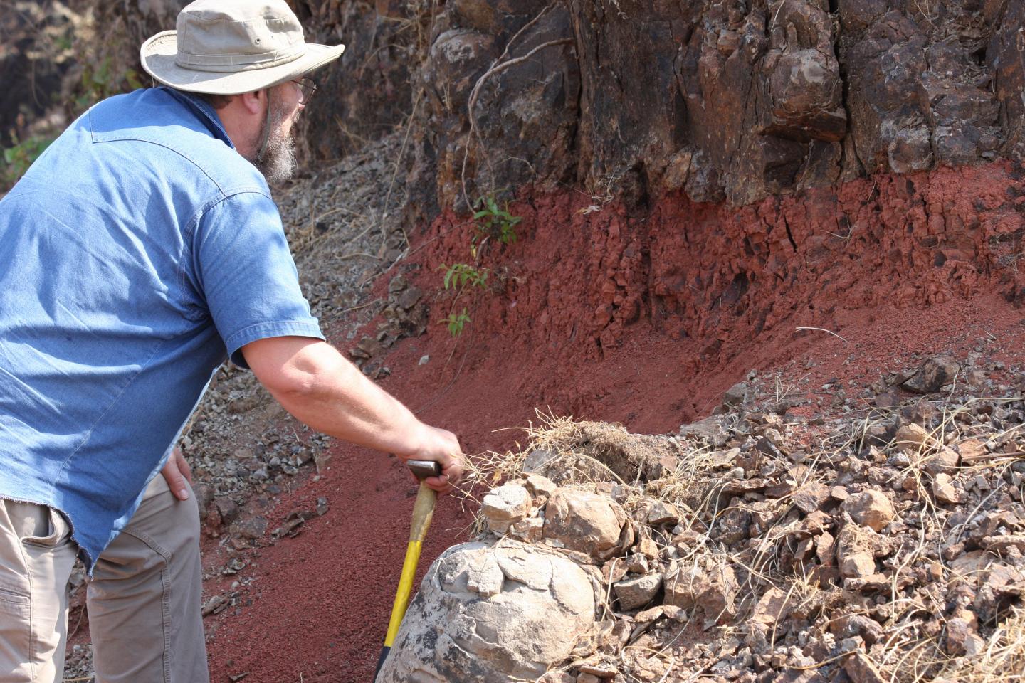 Volcanic Activity May Have Contributed to Cretaceous Extinction  (3 of 4)