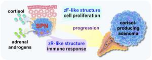 Graphical abstract of the study