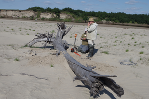 River burials of subfossil trees on the Yamal Peninsula
