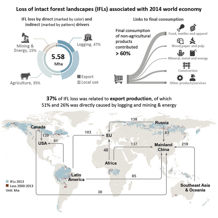 Risk of intact forest landscape loss goes beyond global agricultural supply chains