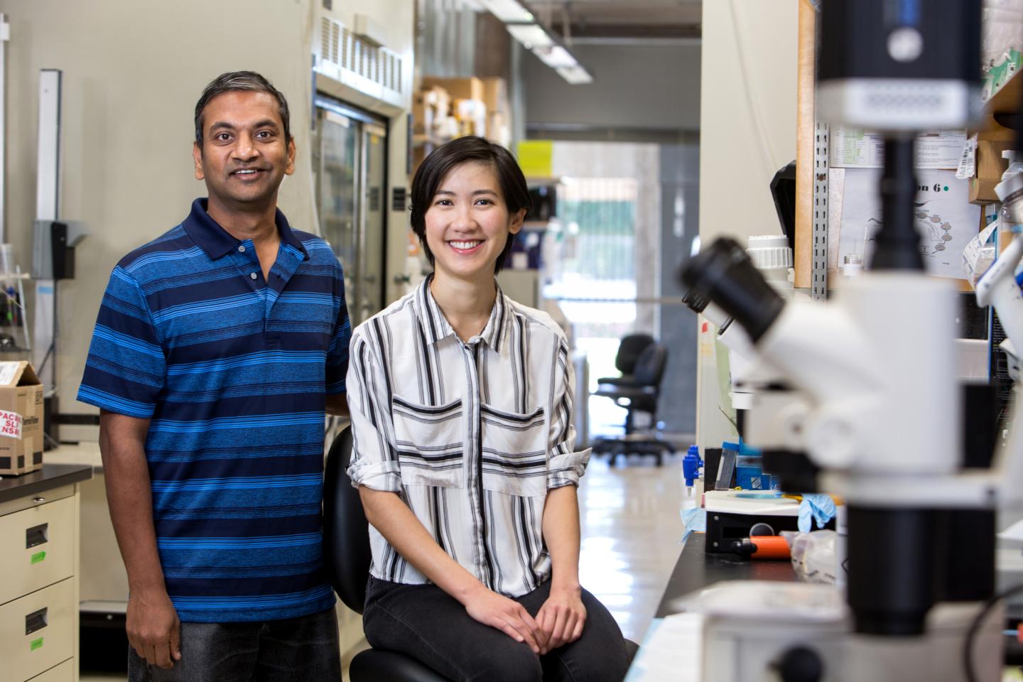 Salk -- Institute -- Chalasani Lab -- Chalasani and Pribadi