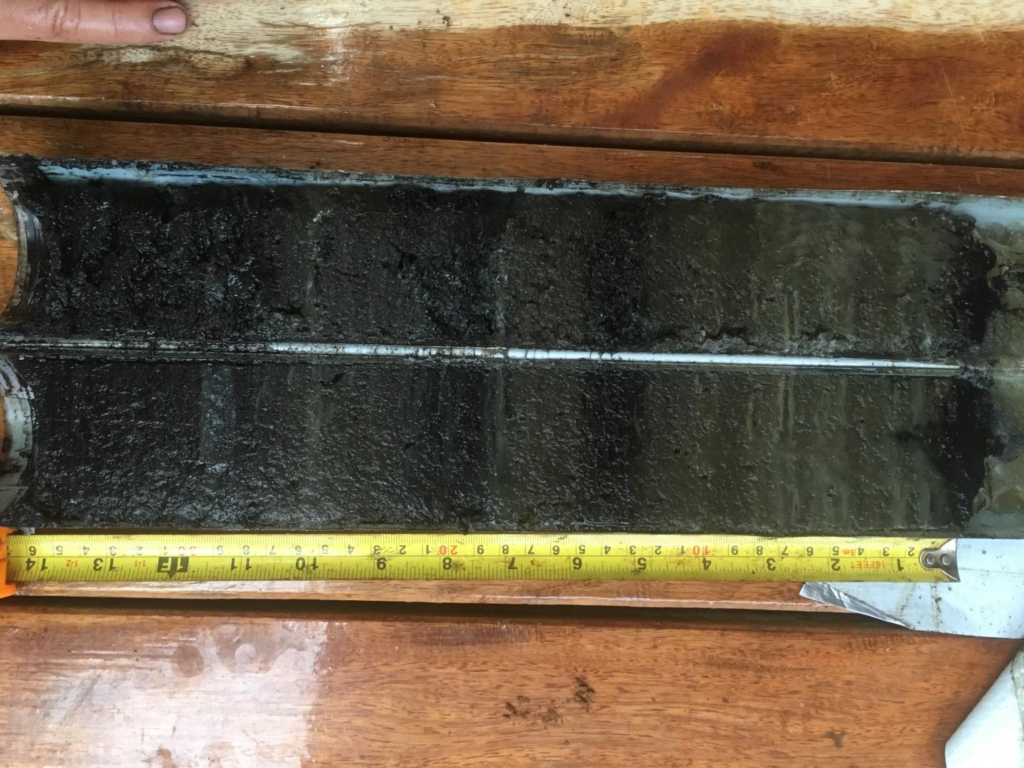 Core Sample from Lake Te Roto on Atiu