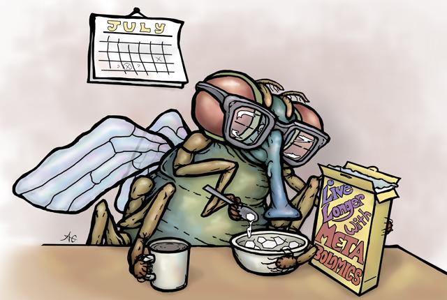 Fruit Fly Calorie-Restricted Diet