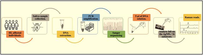 SERS biosensor