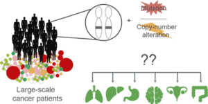 The same genomic alterations affect differently depending on the interaction with other mutations present in different types of cancer