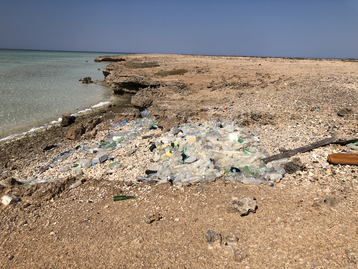 Ocean Seafloor Identified as the Ultimate Sink for Marine Plastics